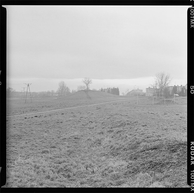 image9.jpg