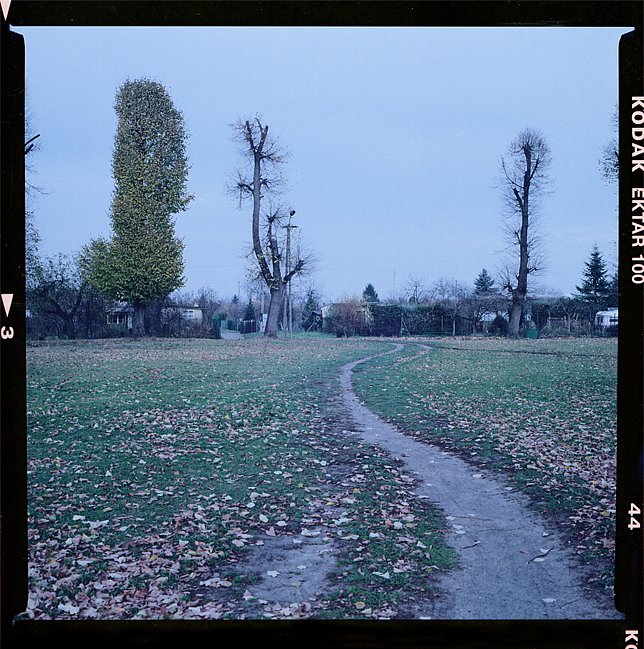 image9.jpg