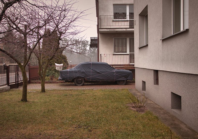 21wd.jpg