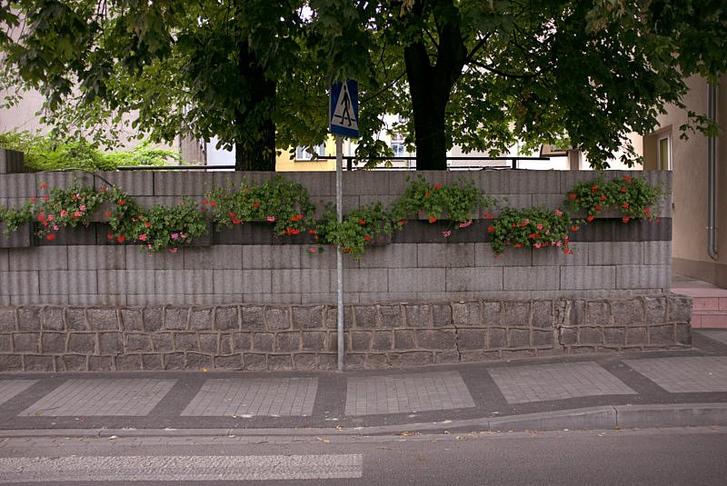 DSCF5574-1.jpg