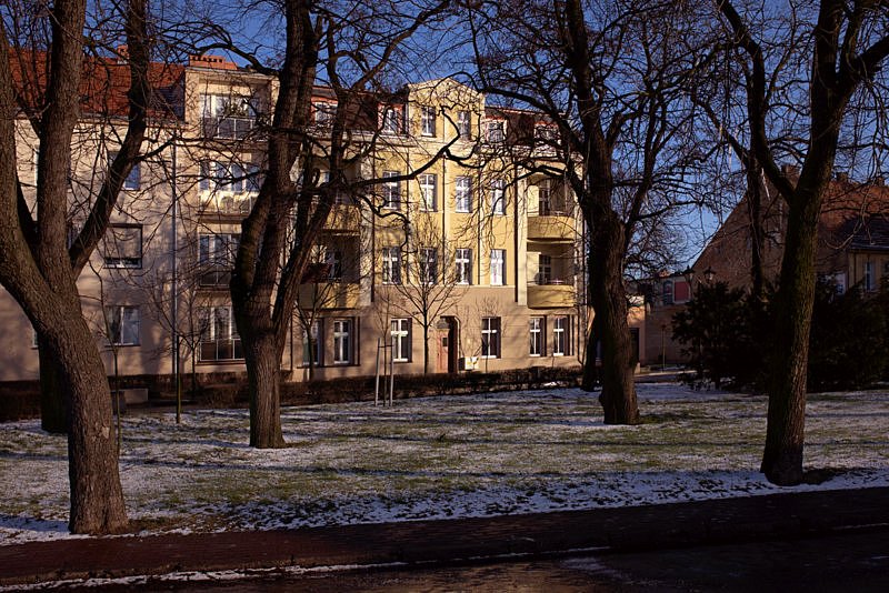 DSCF8385-1.jpg