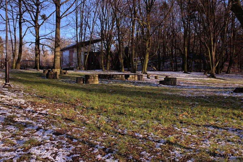 DSCF8396-1.jpg