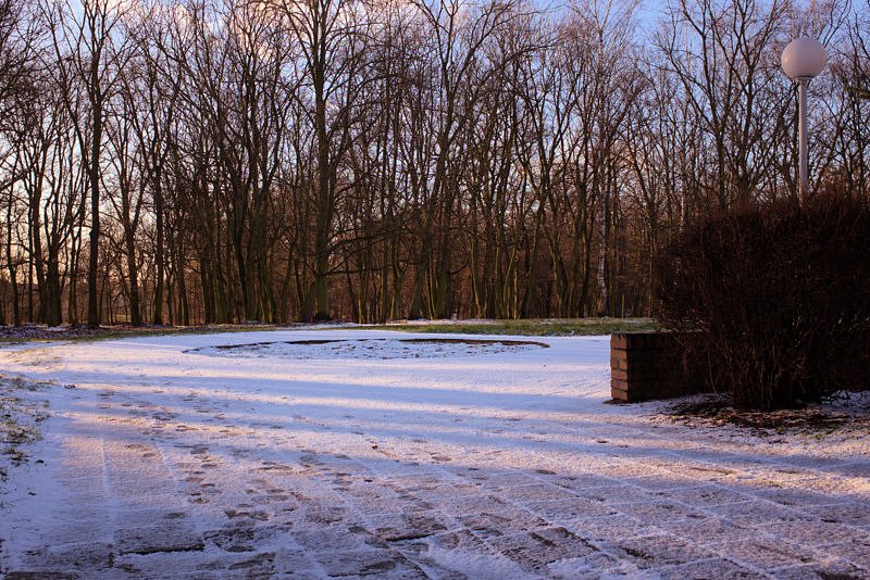 DSCF8408-1.jpg